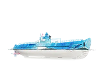 BA Arona's Whale